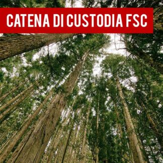 Formazione del Rappresentante della direzione Catena di custodia FSC